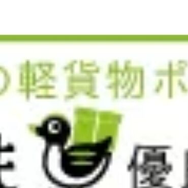 スクリーンショット_11-6-2024_184046_karukamo.info